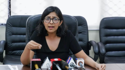DCW chief Swati Maliwal meets protesting wrestlers, says she is concerned for their safety