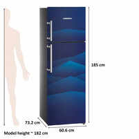 Liebherr Double Door 346 Litres 3 Star Refrigerator TCB 3540