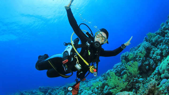 Planning to go scuba diving? Here’s the list of essential tech gadgets for underwater exploration