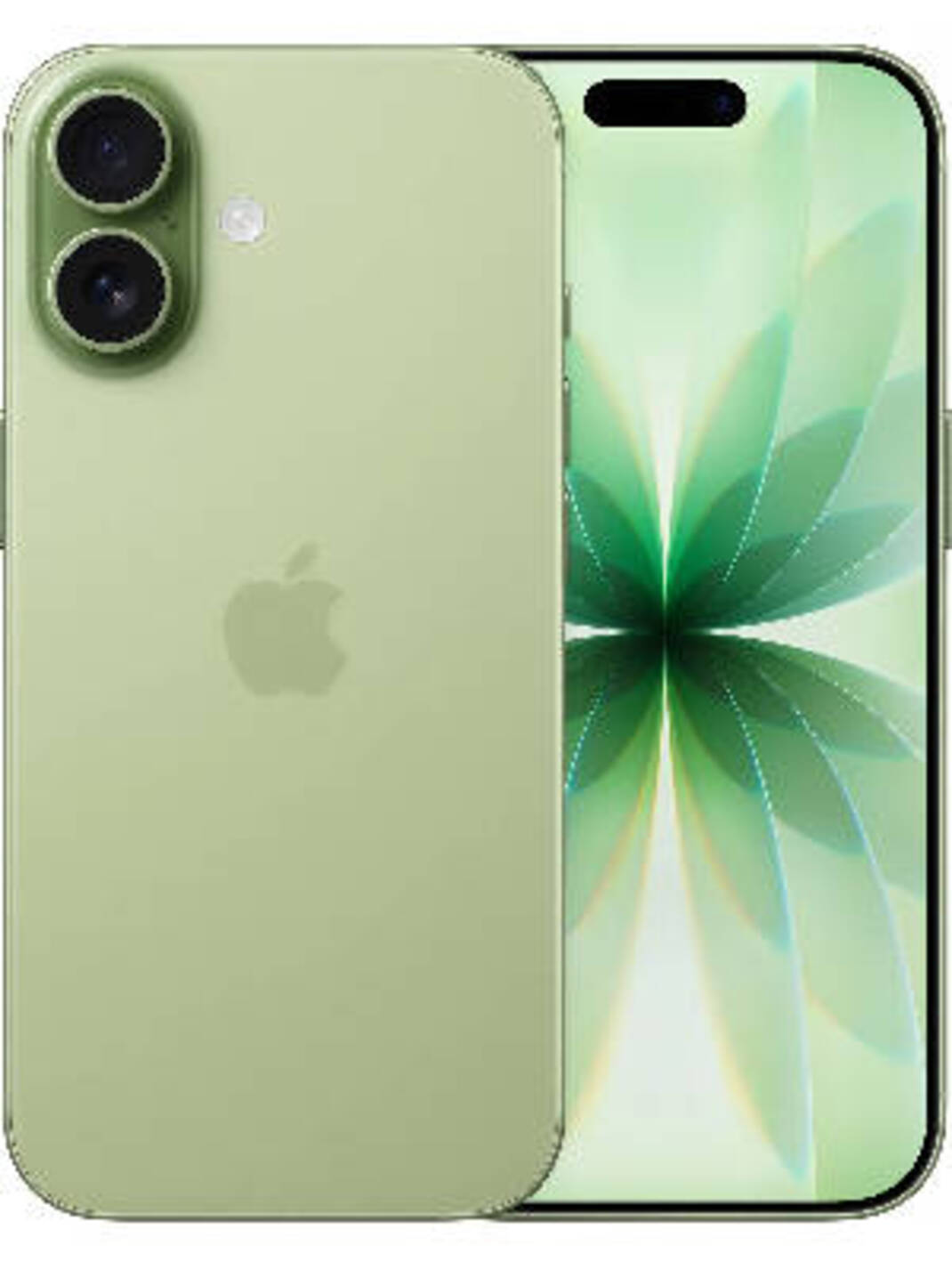 Apple iPhone 17 512 GB 8 GB vs Motorola Signature: Compare ...