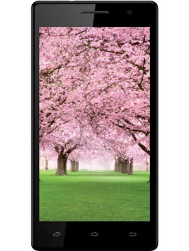 intex desire b