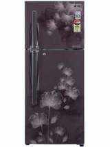 LG GL-D302JGFL 285 Ltr Double Door Refrigerator