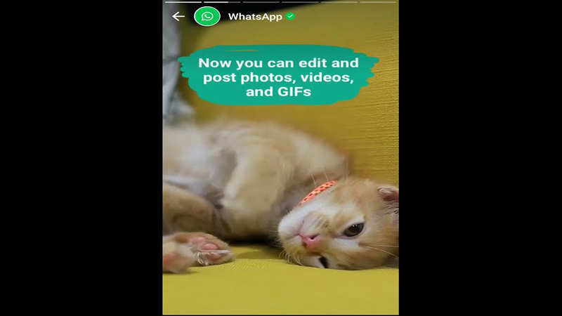 WhatsApp's biggest new feature: 8 things to know | Gadgets Now