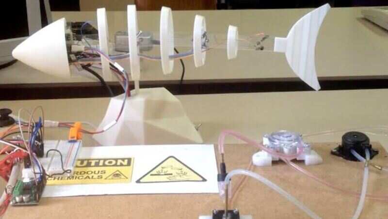 Robotic fish adjusts its motion to reveal acidic hotspots