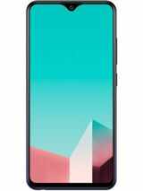a30 vivo