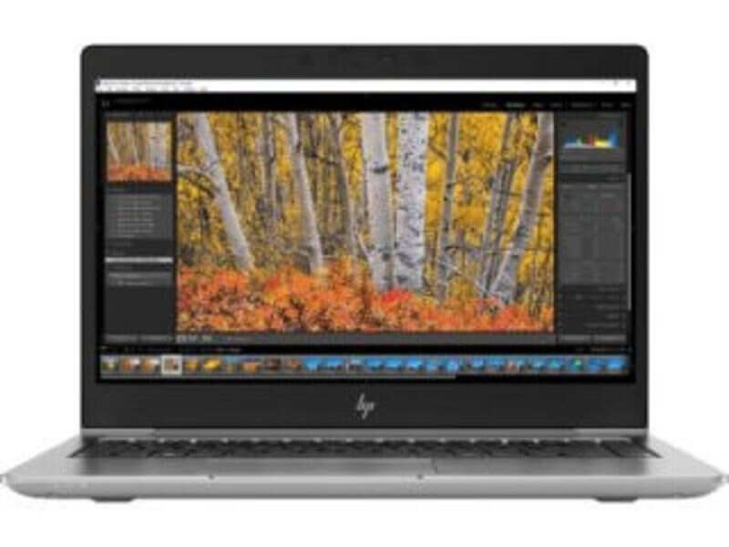 HP ZBook 14u G5 (5LA91PA) Laptop (Core i5 8th Gen/8 GB/512 GB SSD