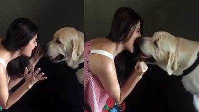 Kutte Aur Manushya Xx Video - This video of Anushka Sharma singing to her dog is too cute to handle |  Hindi Movie News - Bollywood - Times of India