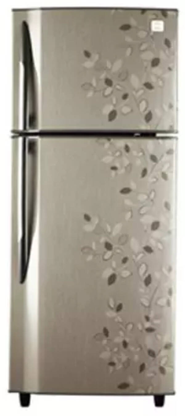 Godrej 240 L 2 Star FrostFree Double Door Refrigerator (RT Eon 240 P 2.3, Carbon Leaf) Photo