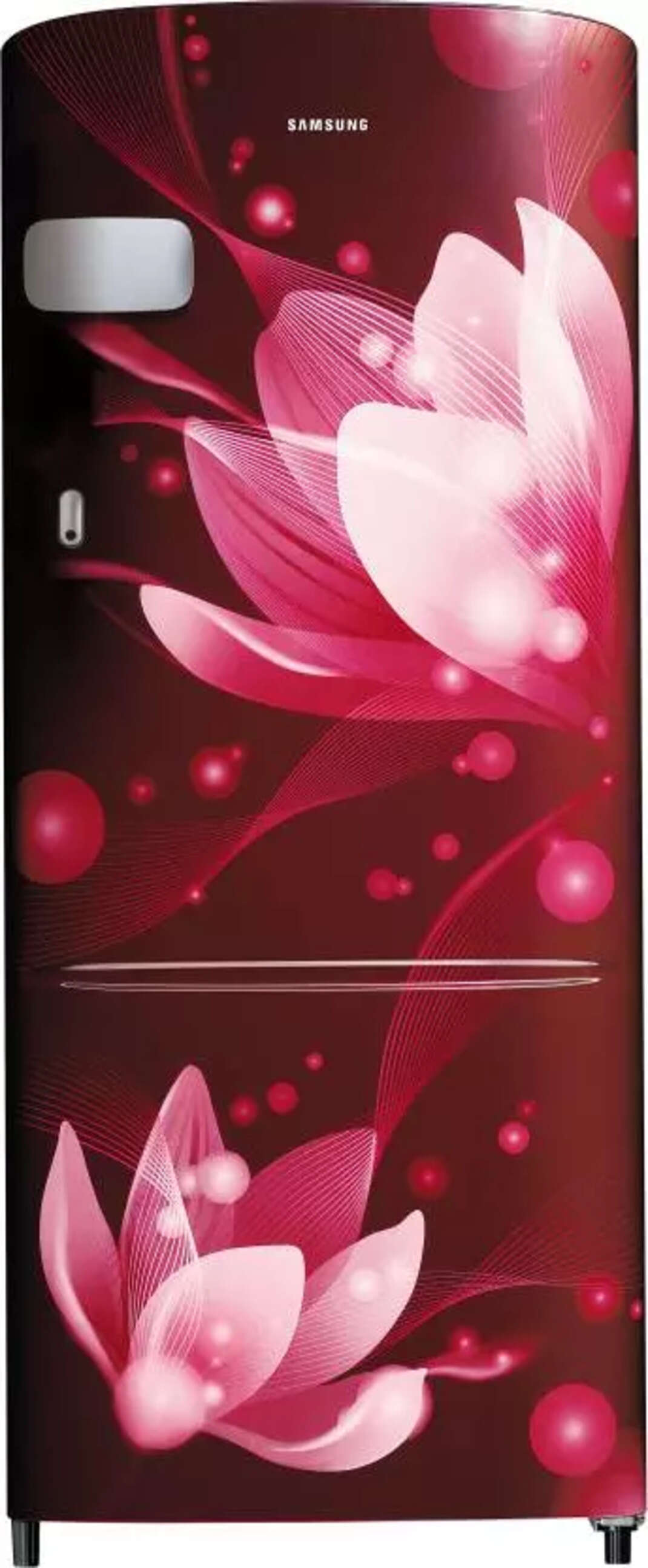 samsung fridge rr21t2g2w9r