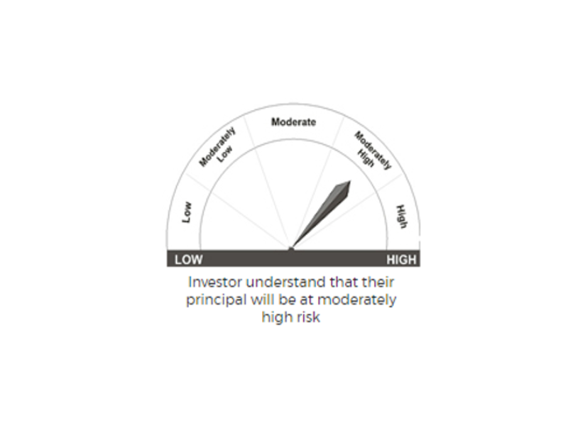 what-is-axis-focused-25-fund