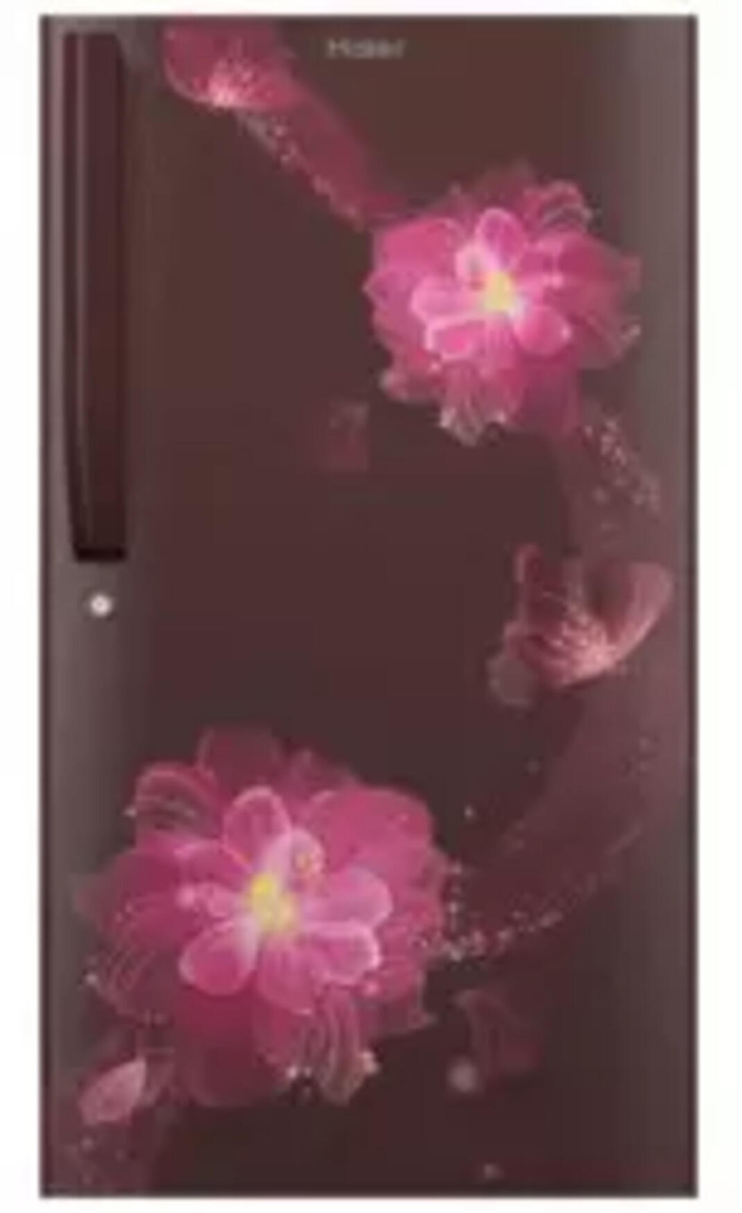 Compare Haier Direct Cool RefrigeratorHRD1954PRBE vs Whirlpool 230