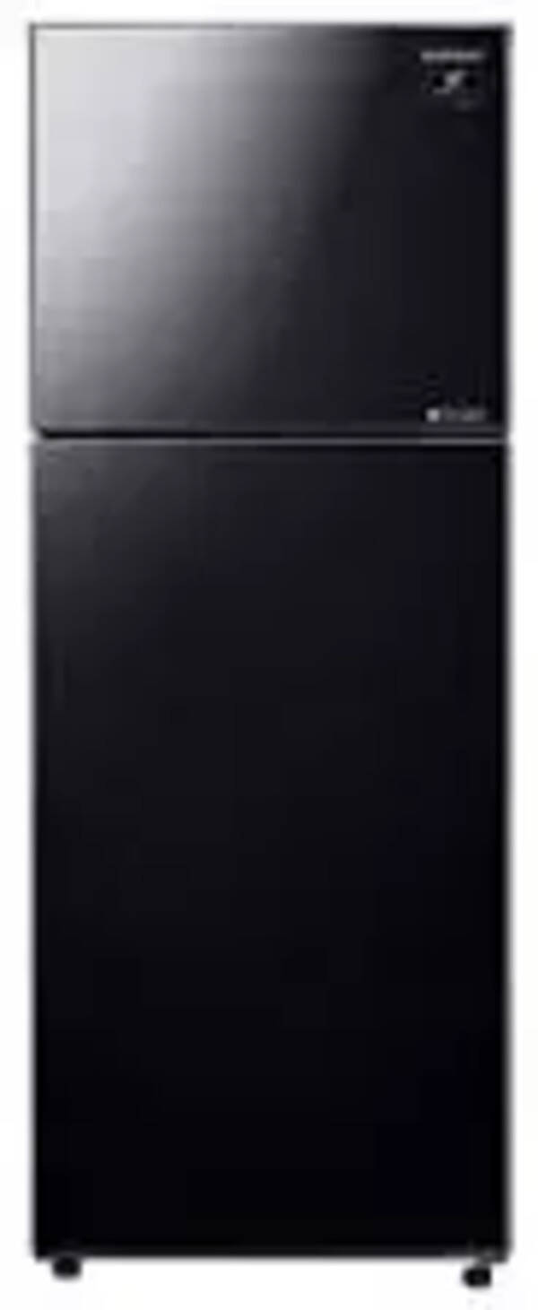 Samsung RT42T50682C Top Mount Freezer with Twin Cooling Plus™ 415L