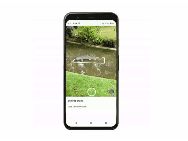 Google Arts & Culture app adds AR support for ancient creatures