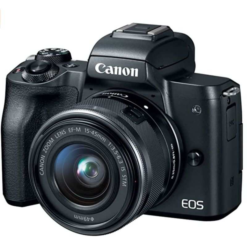 Budget mirrorless cameras with good image quality