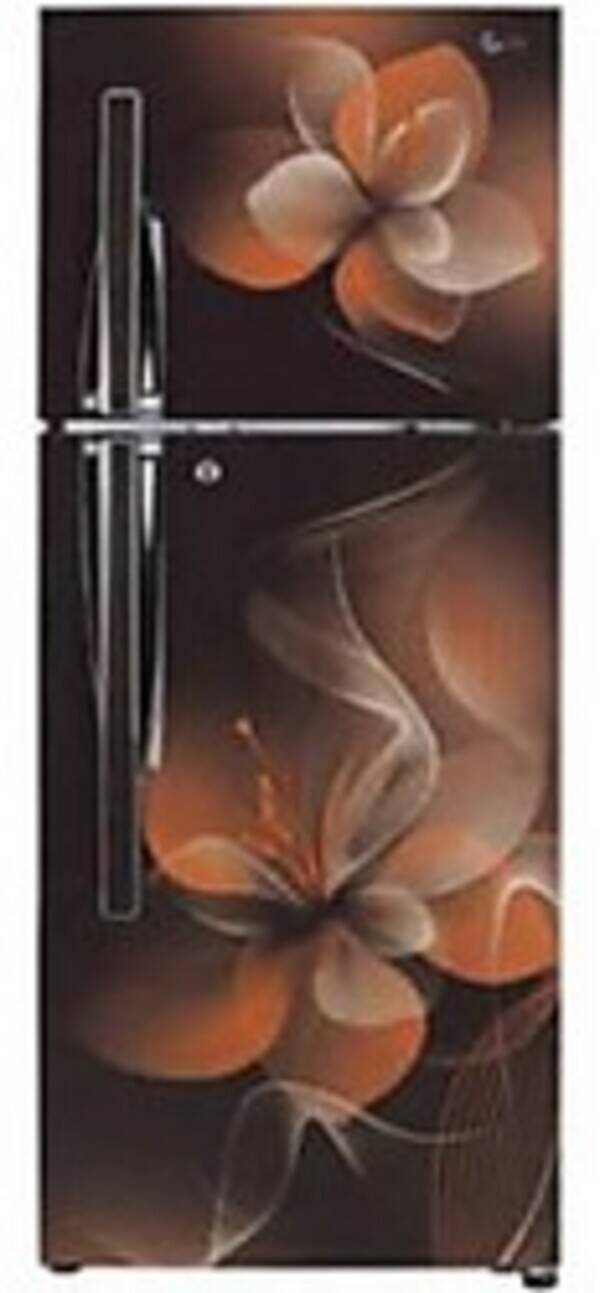 LG GLT292RHDY 260 Ltr Double Door Refrigerator Photo Gallery and