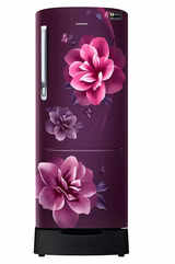 Samsung Single Door 230 Litres 3 Star refrigerator Camellia Purple RR24A282YCR-NL