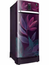 Samsung Single Door 225 Litres 3 Star Refrigerator Paradise Bloom Purple RR23A2F2Y9R