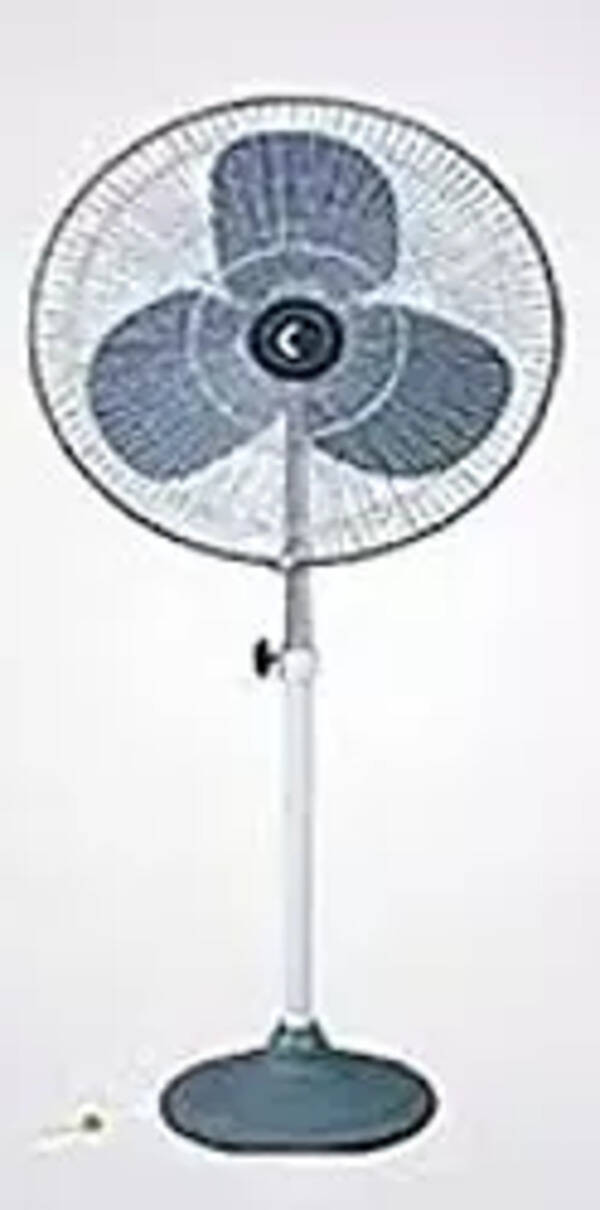 Crompton Windstar Farrata 20inch 160 Pedestal Fan (White Grey) Photo