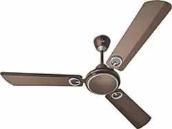 POLYCAB Brio High Speed 400 R.P.M. || Copper Motor || Anti-Rust Body || Smooth Finish 1200 mm Ultra High Speed 3 Blade Ceiling Fan  (Brown, Pack of 1)