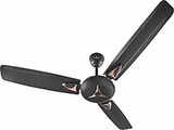Candes Star High Speed Anti-Dust 1200 mm 3 Blade Ceiling Fan  (Brown, Pack of 1)
