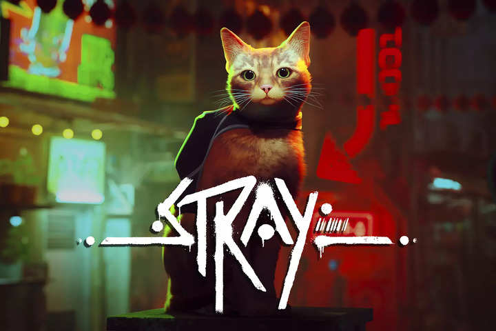 Here's how 'Stray' cat video game brings some benefits to real cats