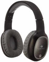Zebronics Zeb-Thunder Bluetooth Wireless Over Ear Headphone FM, mSD, 9 hrs Playback with Mic (Black)