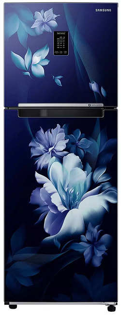 Samsung Double Door 314 Litres 2 Star Refrigerator RT34B4612UZ/HL