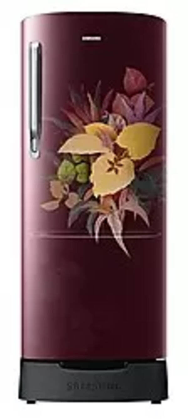 Samsung Single Door 183 Litres 3 Star Refrigerator RR20C1823VF/HL Photo