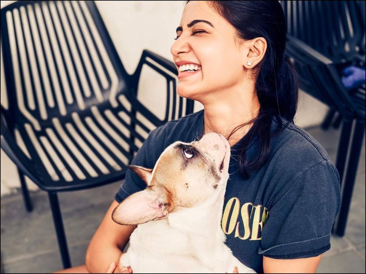 Pic: Samantha Akkineni bonds with her pet dog and it's too cute to ...
