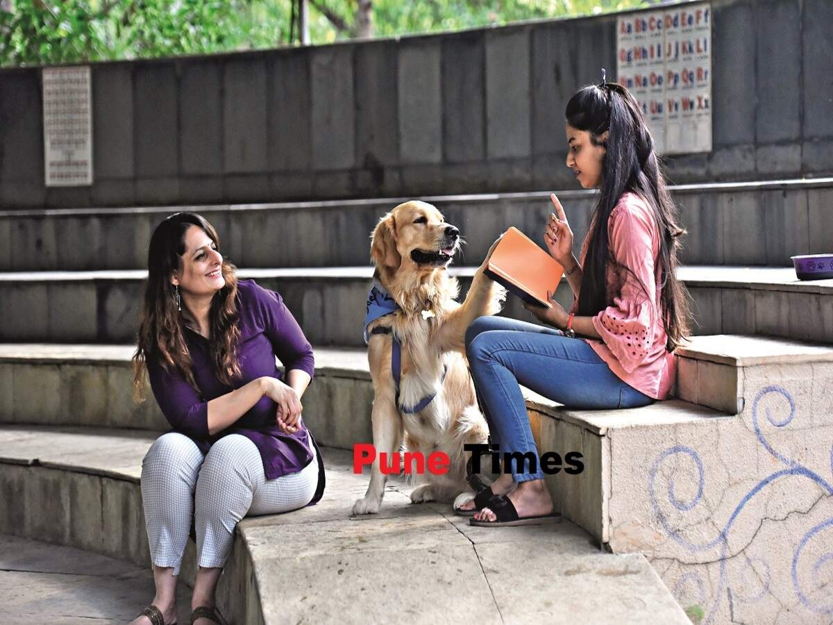 Meet the canines who work part-time, providing animal-assisted therapy to humans - Times of India Meet the canines who work part-time, providing animal-assisted therapy to humans - Times of India