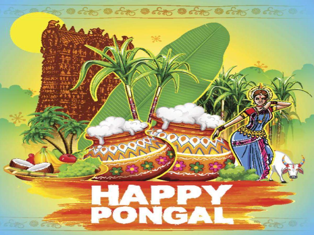 Happy Pongal 2023: Images, Wishes, Messages, Quotes, Cards, Greetings,  Pictures, GIFs and Wallpapers - Times of India