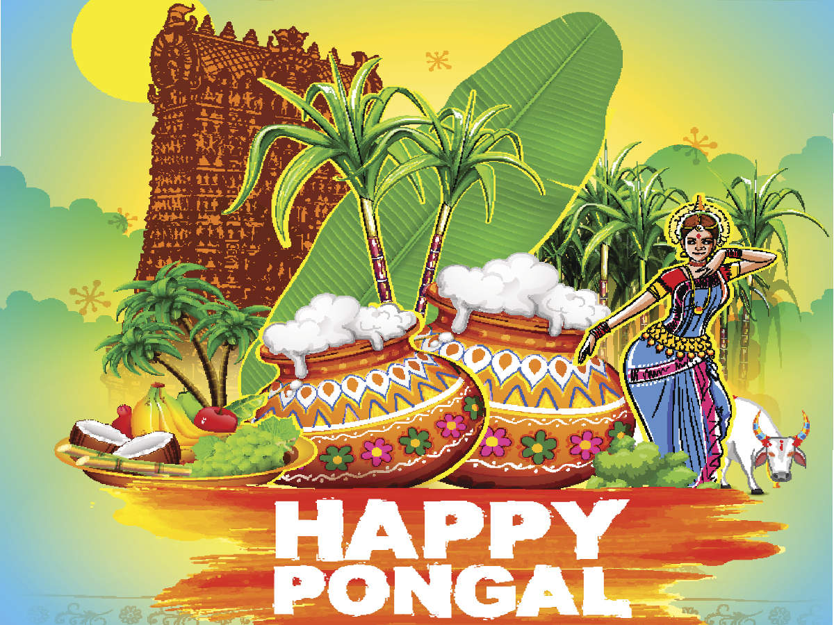 When is Pongal 2022? How it is celebrated? History, Legend, Story ...