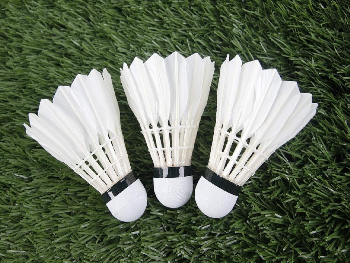 Best shuttlecock on sale for beginners