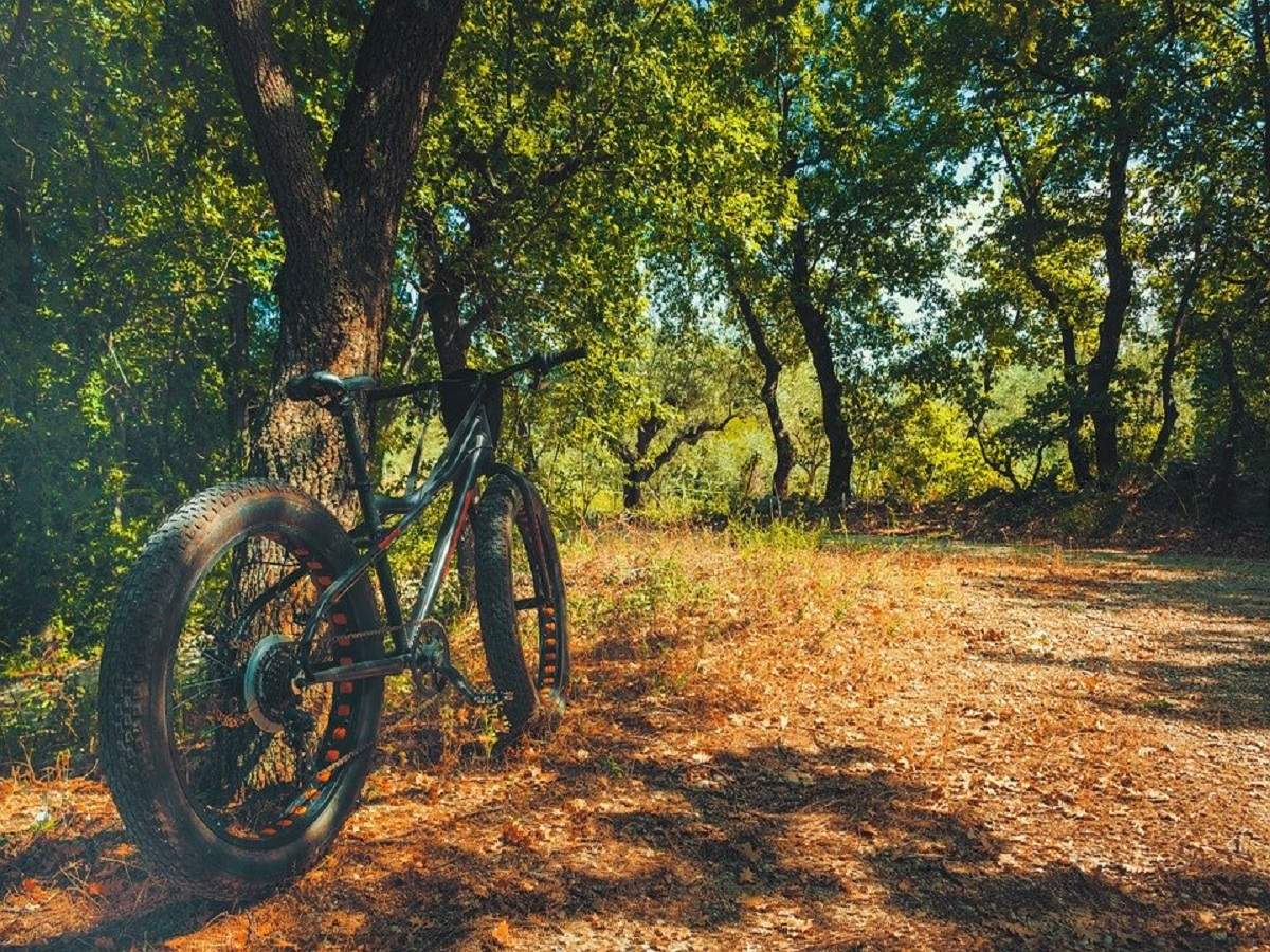 Fat bike for online trail riding