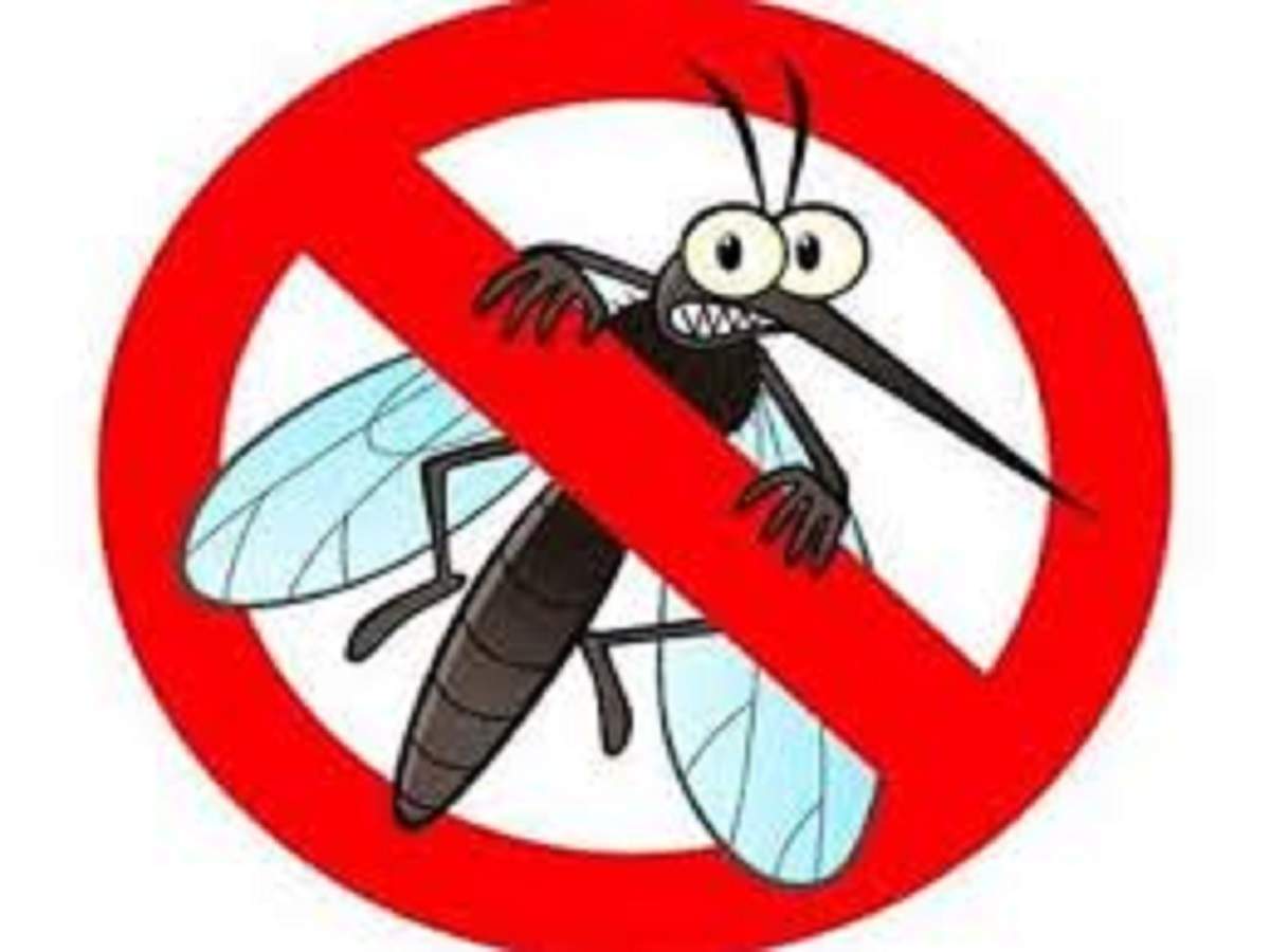 Insects Killing Sprays: Top products to keep bugs out of your home | -  Times of India