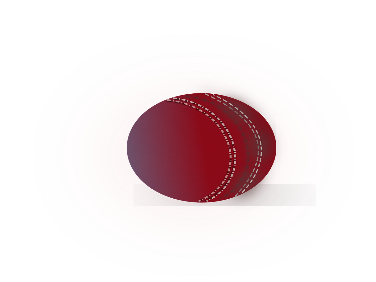 cricket leather ball