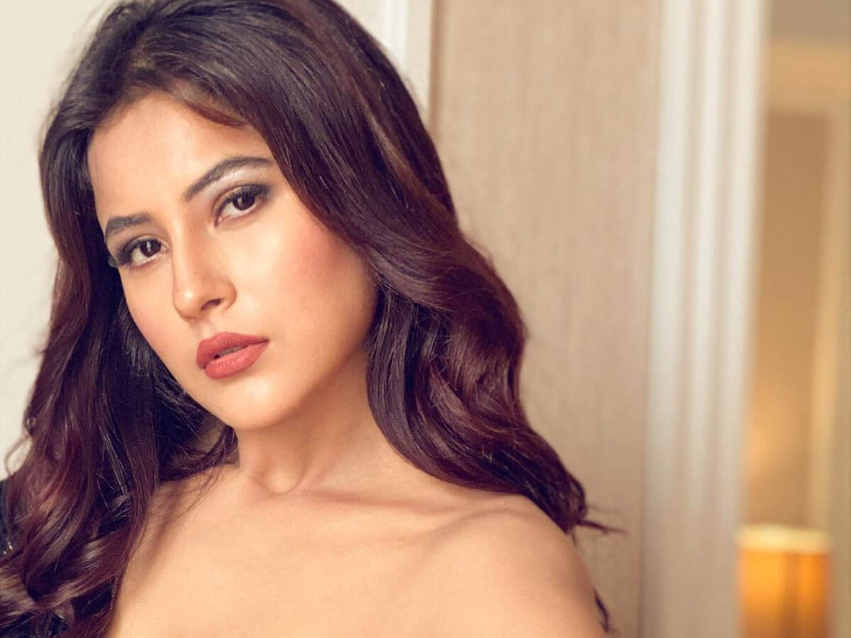 Bigg Boss 13 fame Shehnaz Gill looks breathtakingly beautiful in this picture; fan dedicates 'Proper Patola' song - Times of India