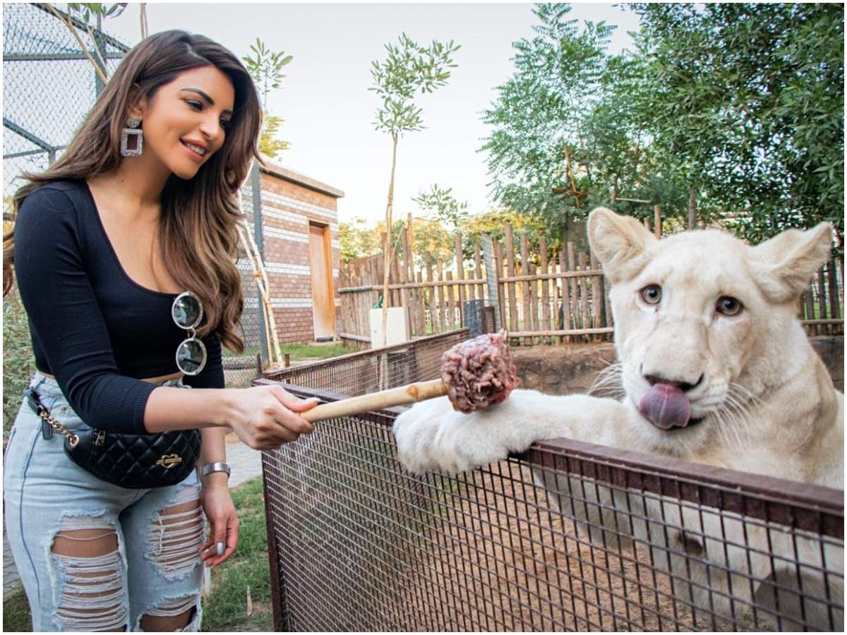 When Shama Sikander met exotic animals at a private zoo - Times of India