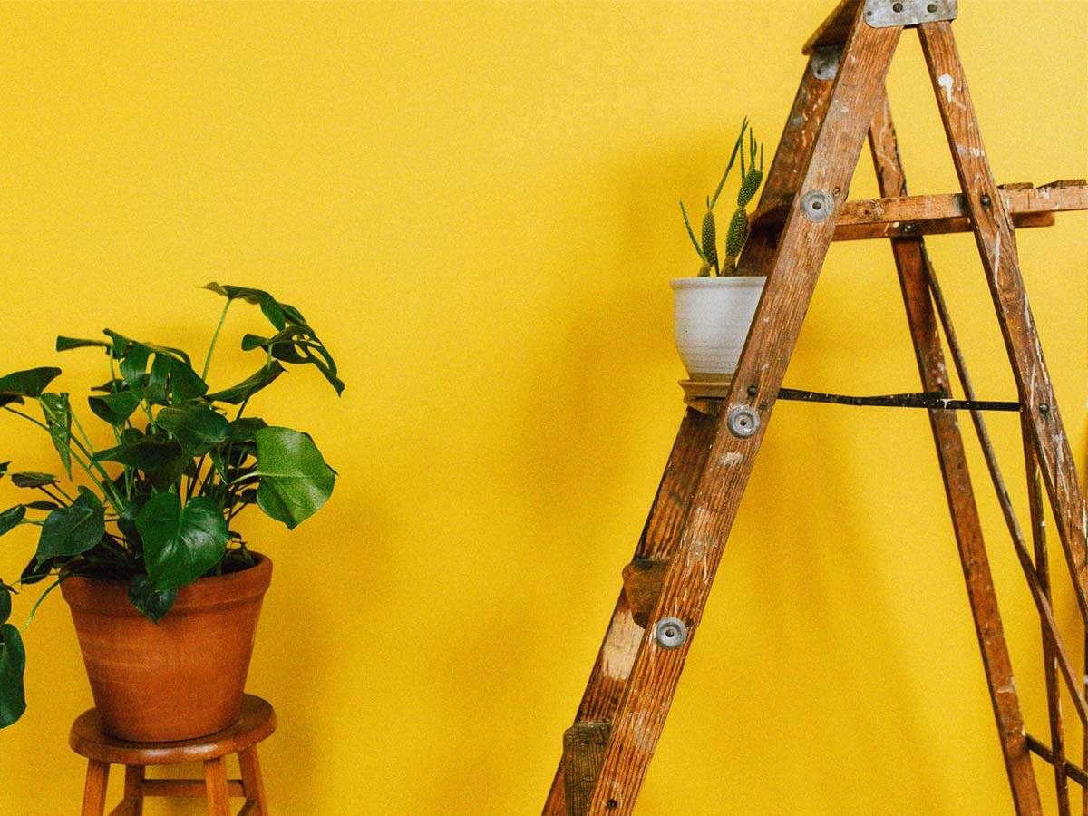 Ladder for home: Folding step ladders for daily chores and other
