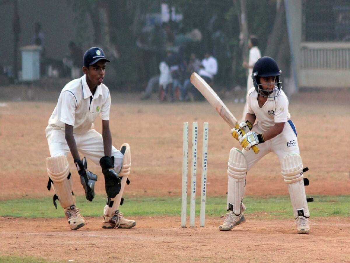 10 Best Cricket Kits Sunley Wooden Cricket Kit