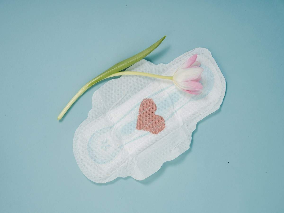 Buy Best Sanitary Pads Without Disposal Bags Online in India 2023
