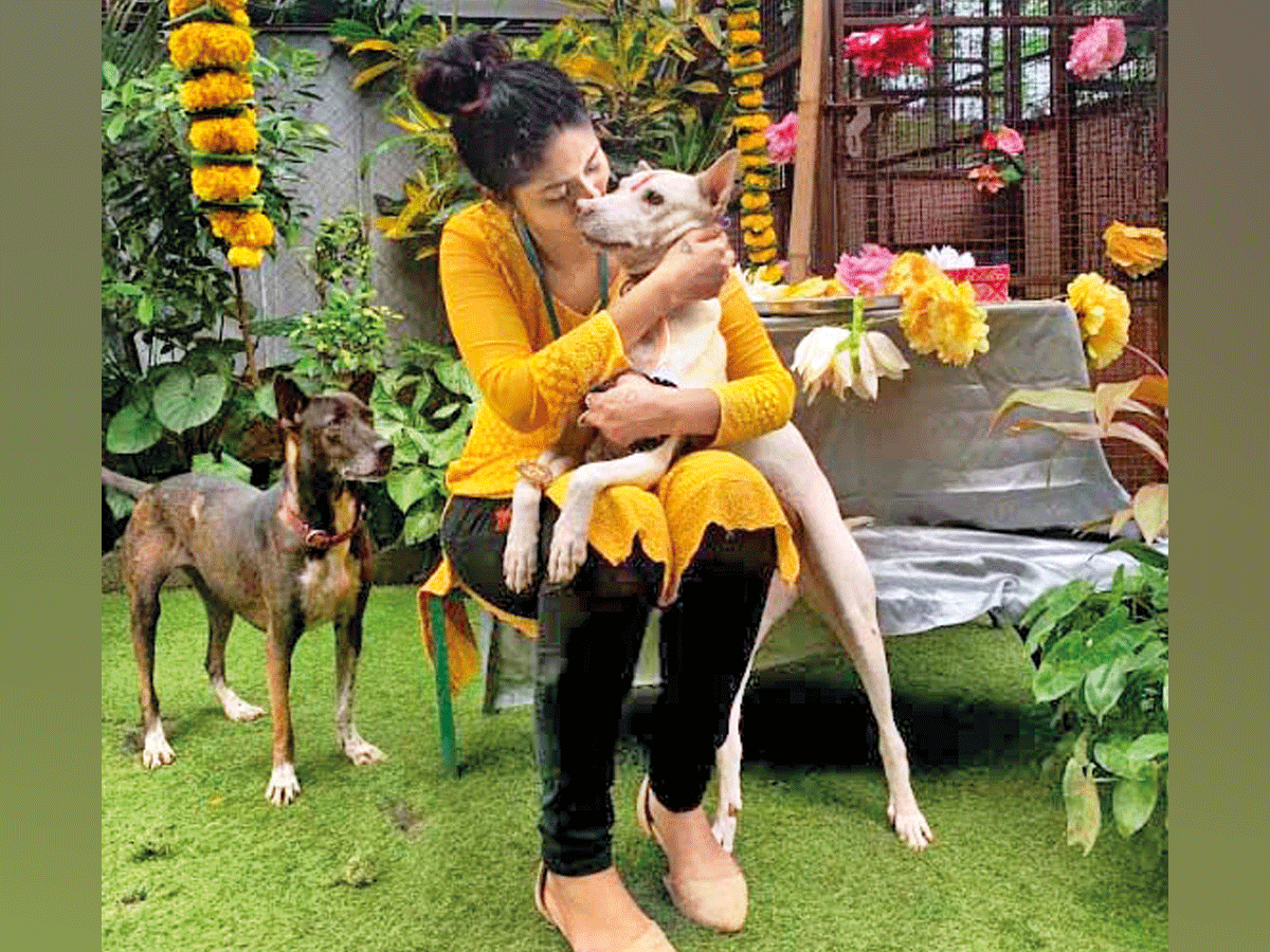 Mumbaikars celebrate Raksha Bandhan in style with their furry companions -  Times of India