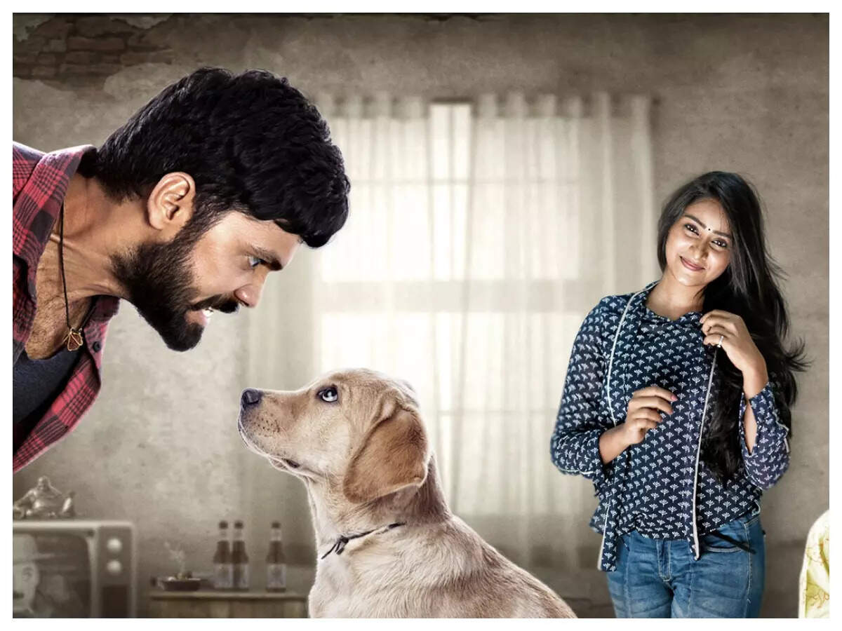Even those who don't have pet will start loving them: '777 Charlie' director Kiran Raj | Kannada Movie News - Times of India Even those who don't have pet will start loving them: '777 Charlie' director Kiran Raj | Kannada Movie News - Times of India