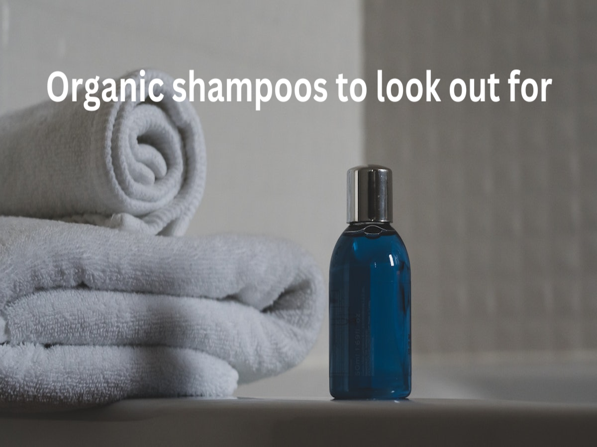 Organic shampoos: No more hairfall, hair breakage, and dandruff - Times of  India (February, 2024)