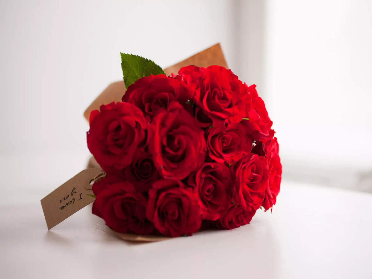 Happy Rose Day 2023: Top 50 Wishes, Messages, Quotes and Images ...