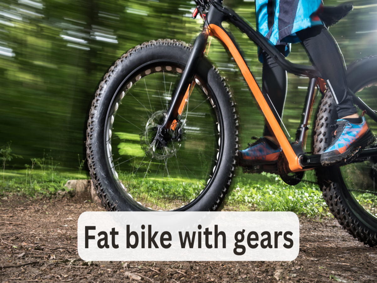 Fat bike with gears: Top picks - Times of India (February, 2024)