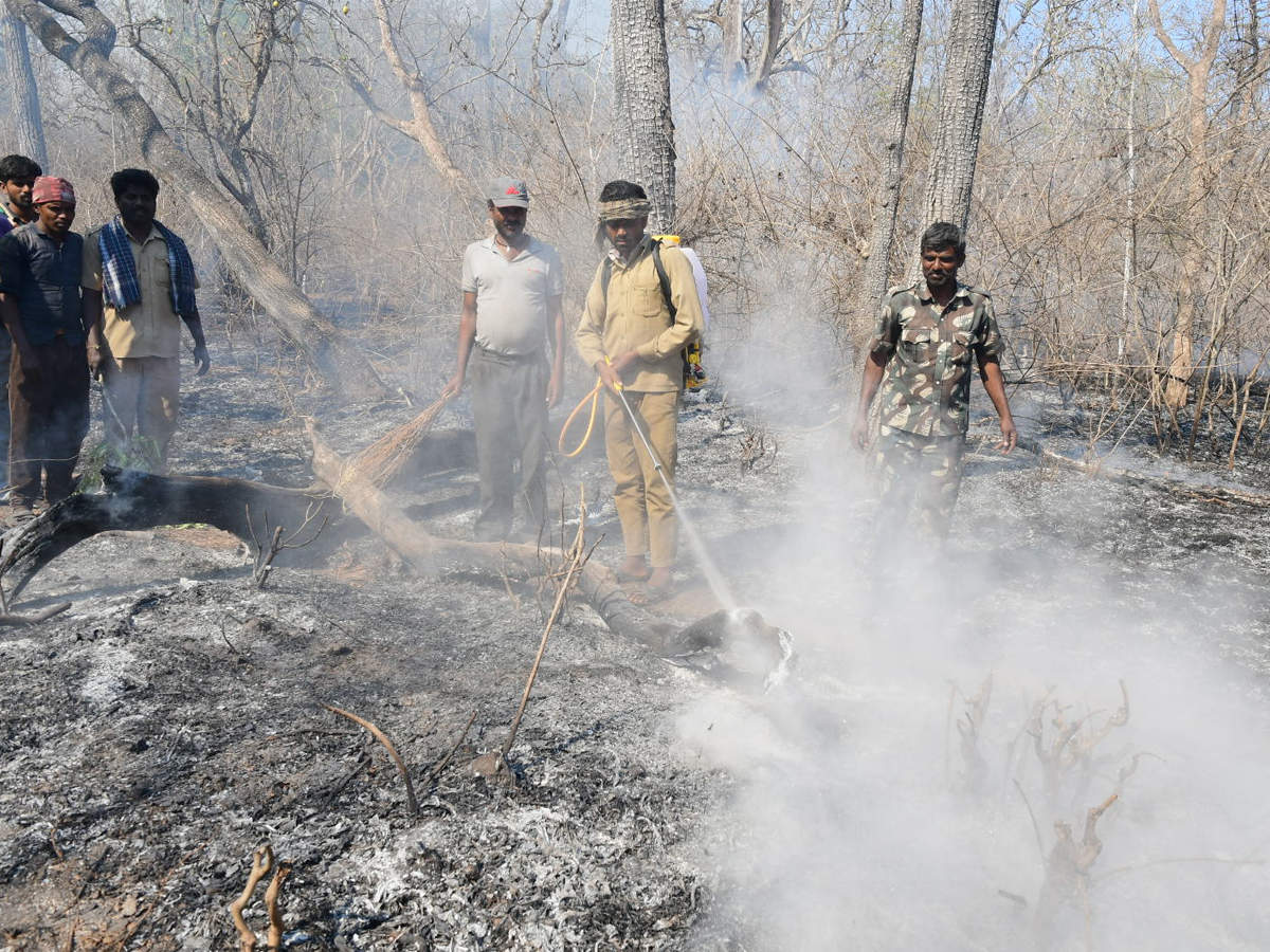 Fire Alerts Karnataka May Be Most Prone To Forest Blazes - fire alerts karnataka may be most prone to forest blazes