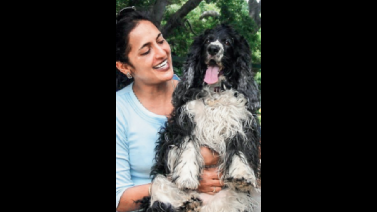 How are Dogs Registered in India? Explained Amid Mahua Moitra's