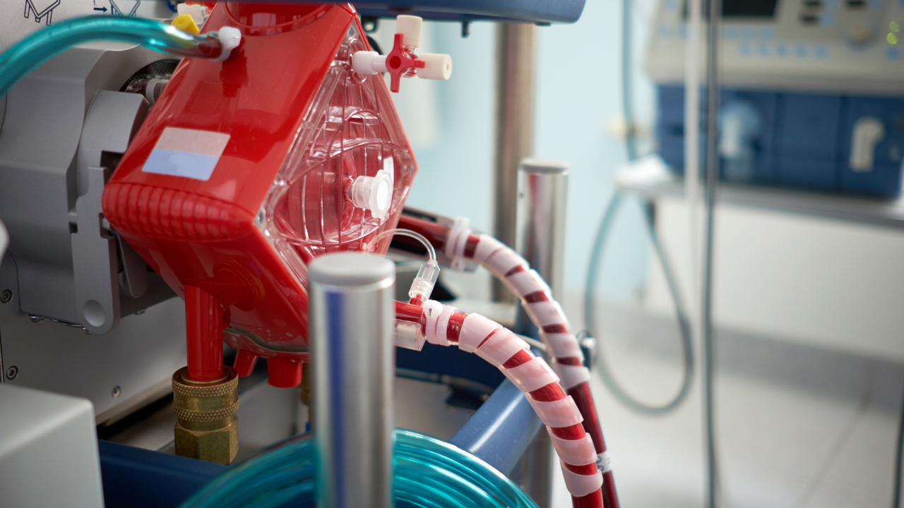 ecmo heart lung machine