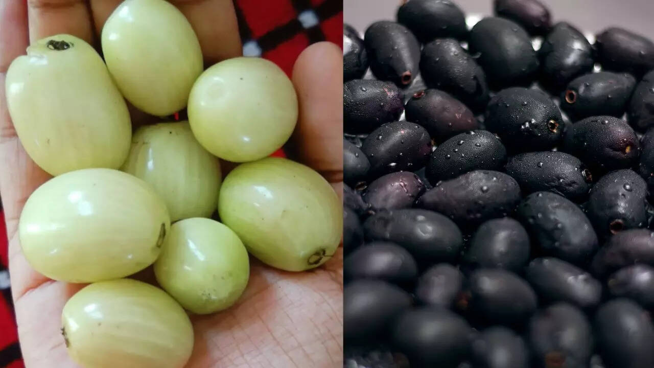 What Is Jamun Fruit Called In English - Infoupdate.org